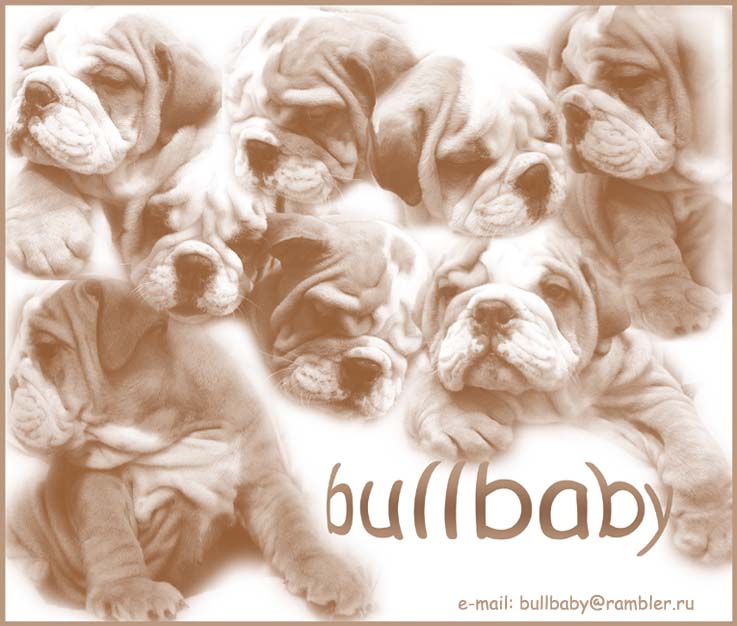 Welcome to BULLBABY!